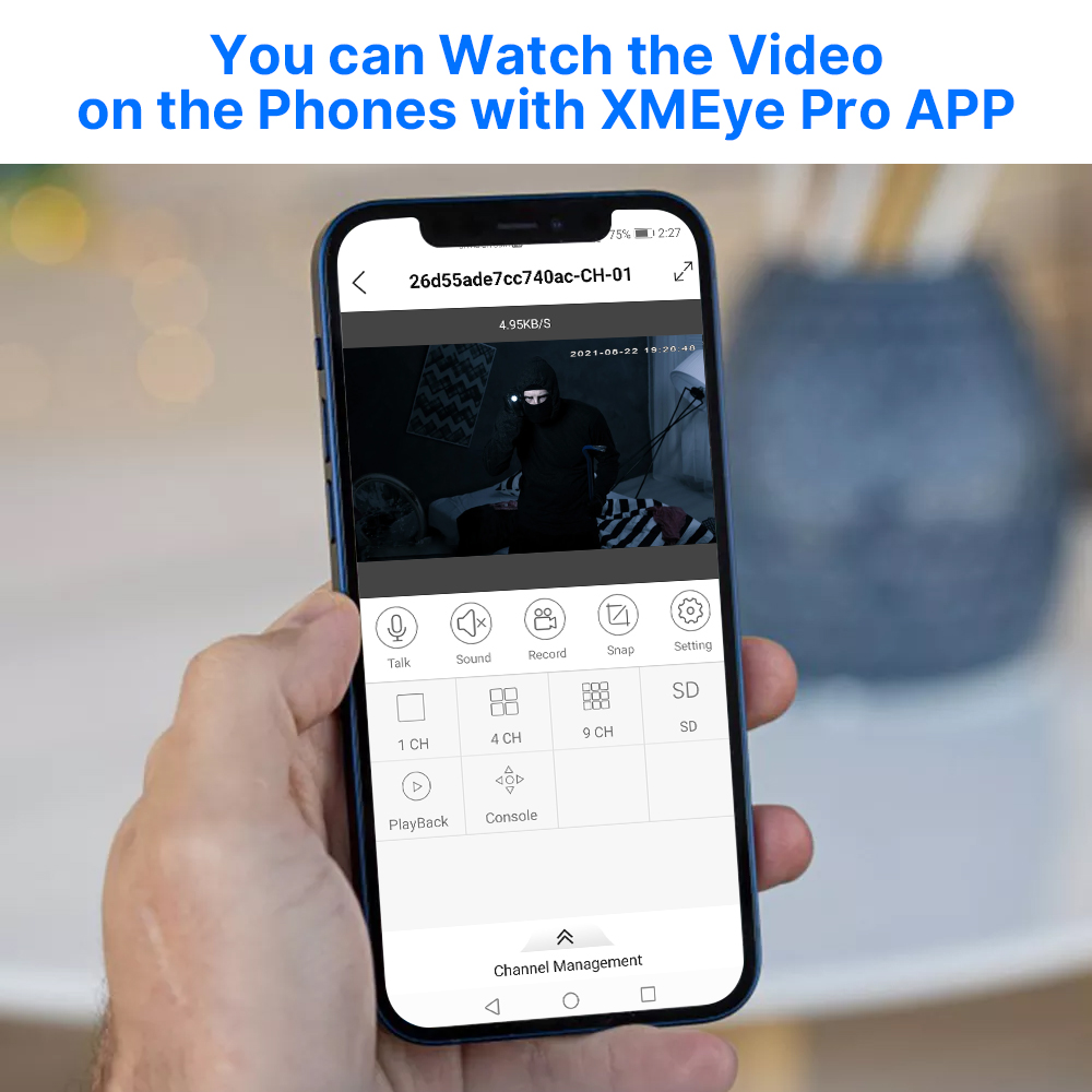 Hiseeu 5MP Audio IP Sicherheit – Home Cinema Sony Bewertung und Preis