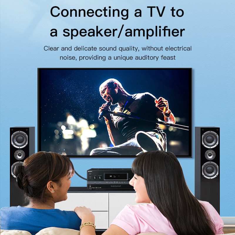 CHOSEAL RCA-Kabel Digitales Ko – Home Cinema Furniture Bewertung und Preis
